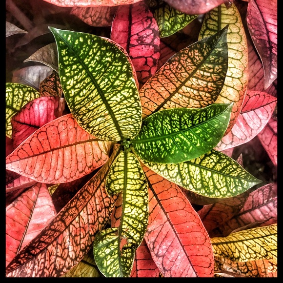 Meet your Posher, Cindy - Picture 11 of 12